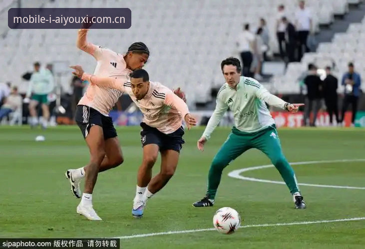 阿斯顿维拉欧联杯夺冠深度分析：埃梅里第五冠背后的战术密码与爱游戏平台独家视角